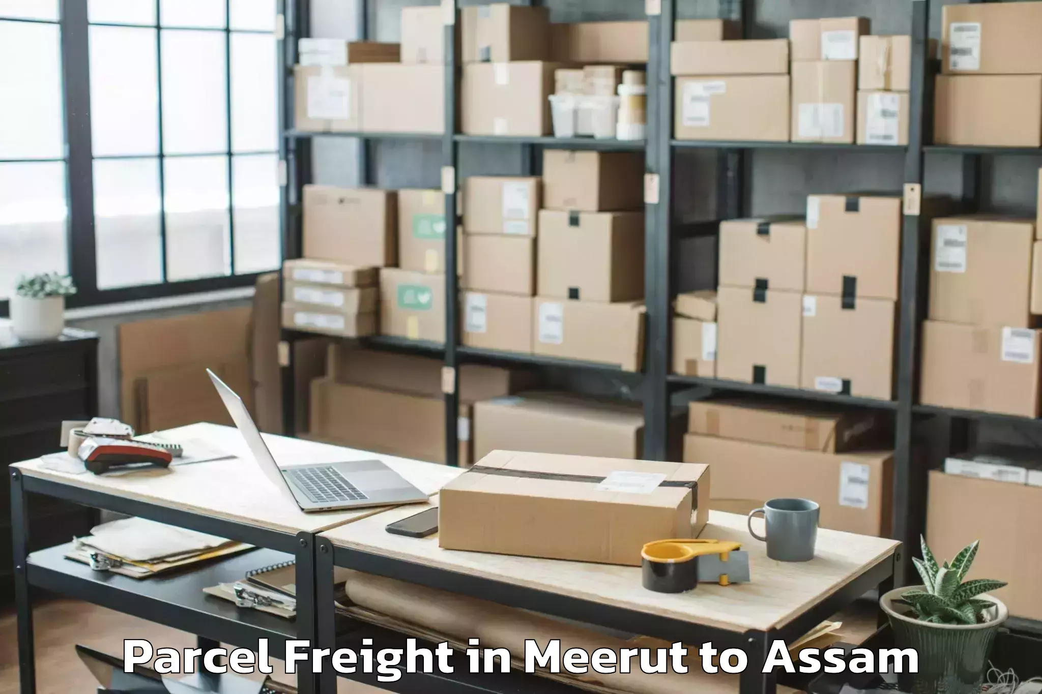 Easy Meerut to Bajali Parcel Freight Booking